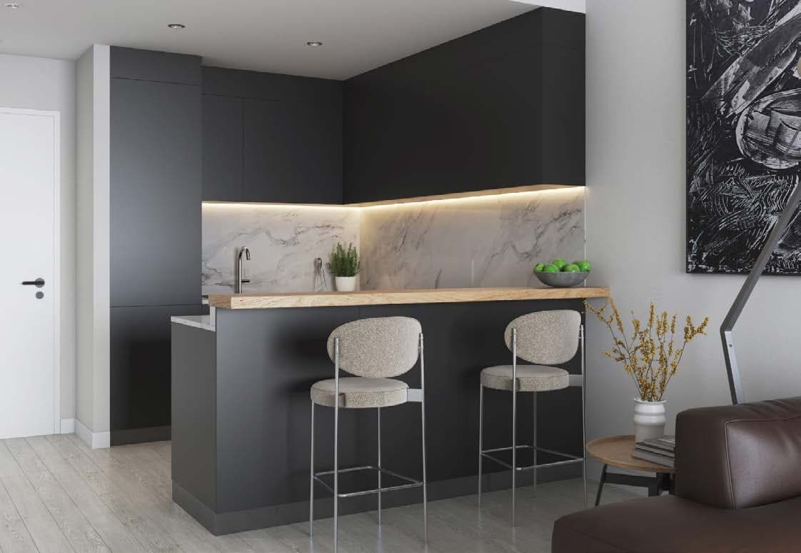 Maison Elysee, developer image 6